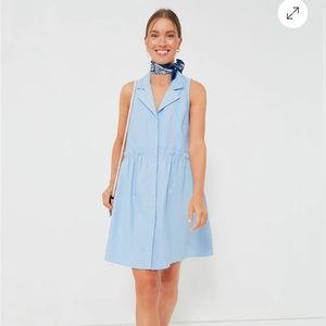 Tuckernuck Oxford Blue Sleeveless Royal Shirt Dress